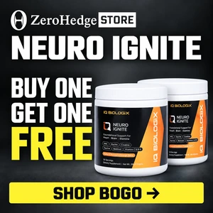Zerohedge store image