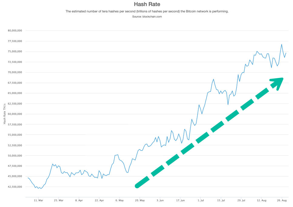 Hashrate Bitcoin Chart