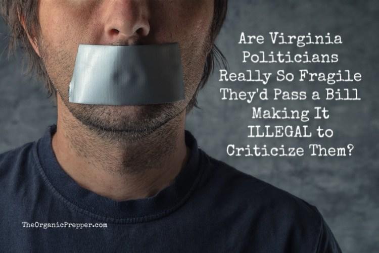 Are-Virginia-Politicians-Really-So-Fragile-Theyd-Pass-a-Bill-Making-It-ILLEGAL-to-Criticize-Them_-.jpg